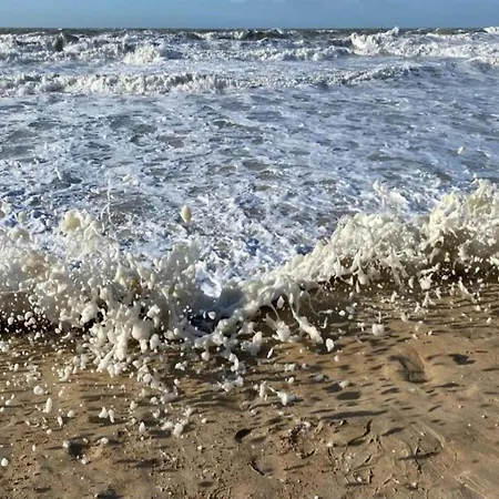 Cozy Near The * Oostende