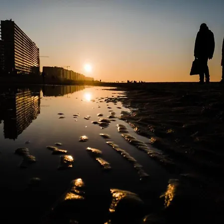 Cozy Near The 아파트 *