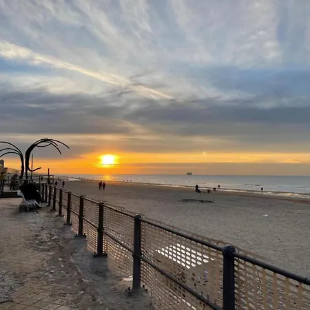 Lejlighed Cozy Near The Oostende