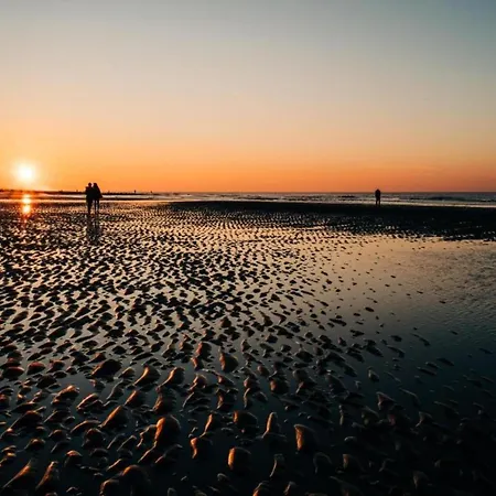 Cozy Near The 아파트 오스텐드